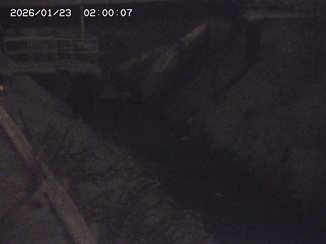 鴨川１2026/01/24 2:30:00