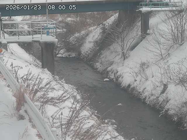 鴨川１2026/01/24 2:30:00