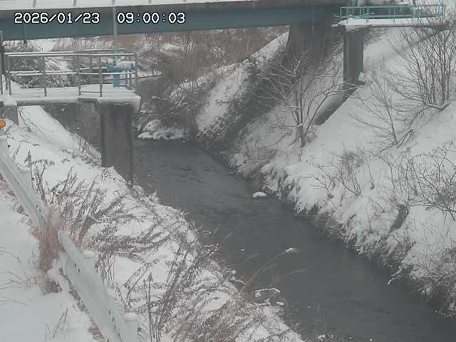 鴨川１2026/01/24 2:30:00