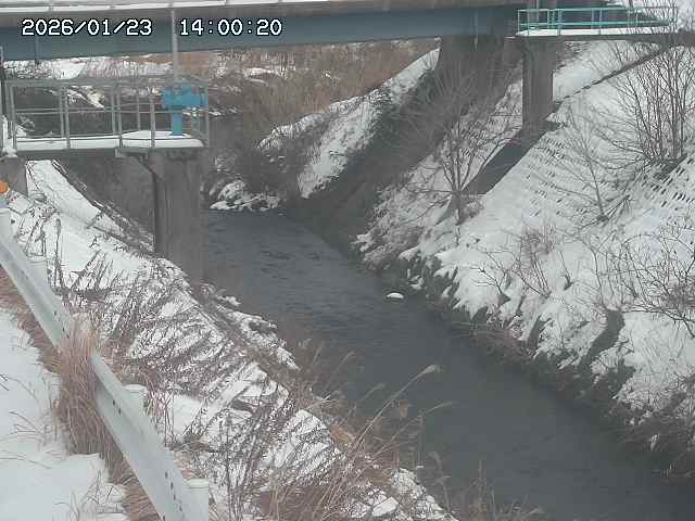 鴨川１2026/01/24 2:30:00