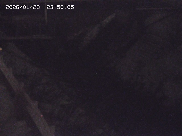 鴨川１2026/01/24 2:30:00