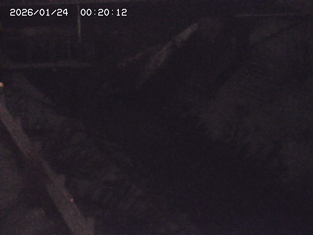 鴨川１2026/01/24 2:30:00