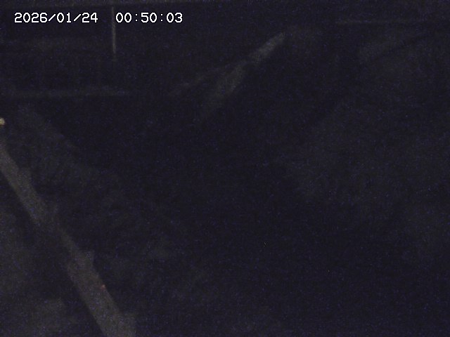 鴨川１2026/01/24 2:30:00