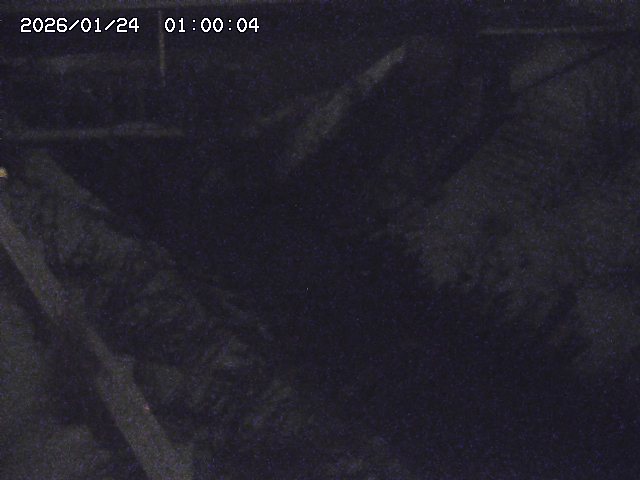 鴨川１2026/01/24 2:30:00