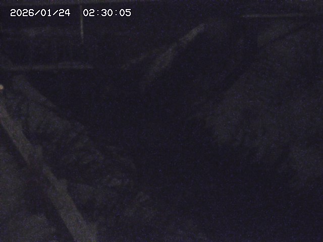 鴨川１2026/01/24 2:30:00