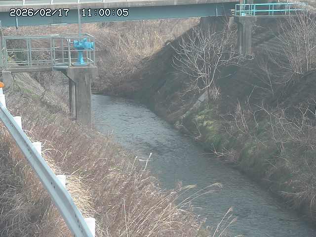 鴨川１2026/02/17 18:20:00