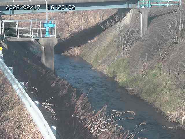 鴨川１2026/02/17 18:20:00