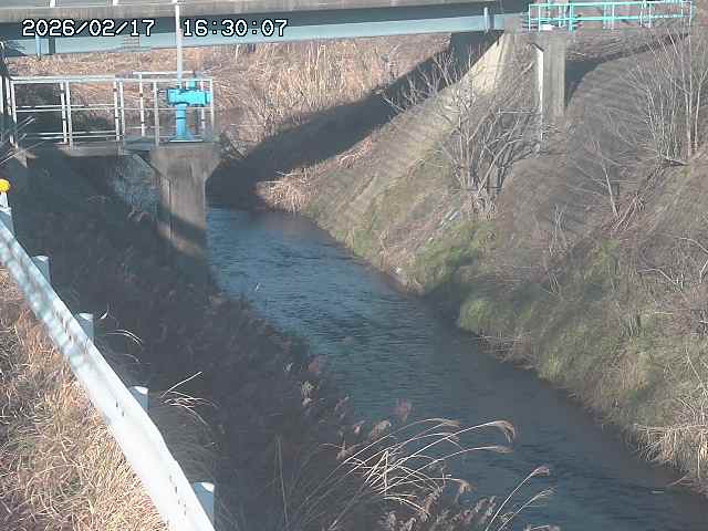 鴨川１2026/02/17 18:20:00