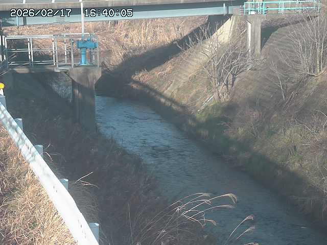 鴨川１2026/02/17 18:20:00