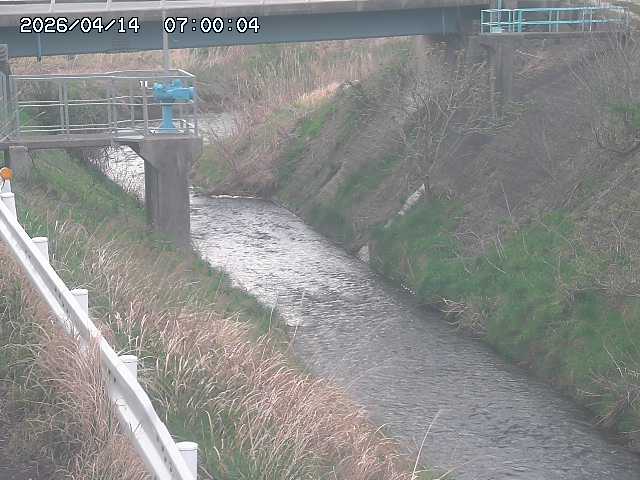 鴨川１2026/04/14 17:00:00