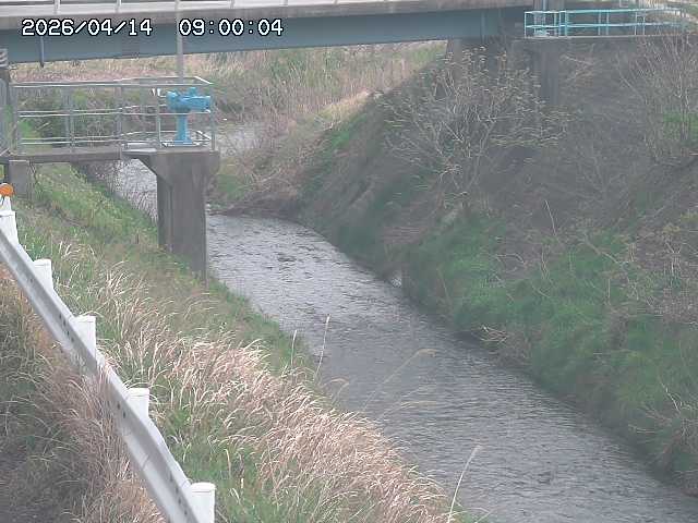 鴨川１2026/04/14 17:00:00