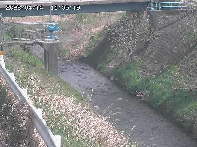 鴨川１2026/04/14 17:00:00