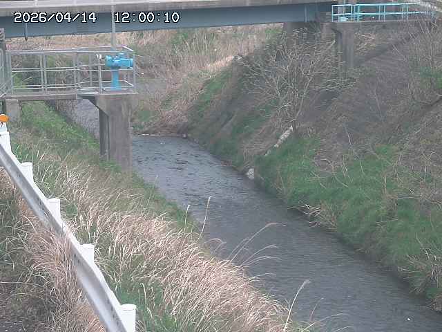 鴨川１2026/04/14 17:00:00