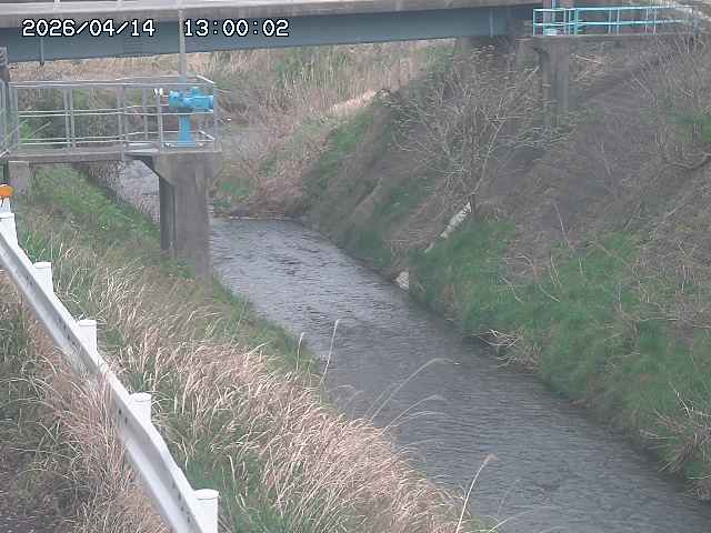 鴨川１2026/04/14 17:00:00