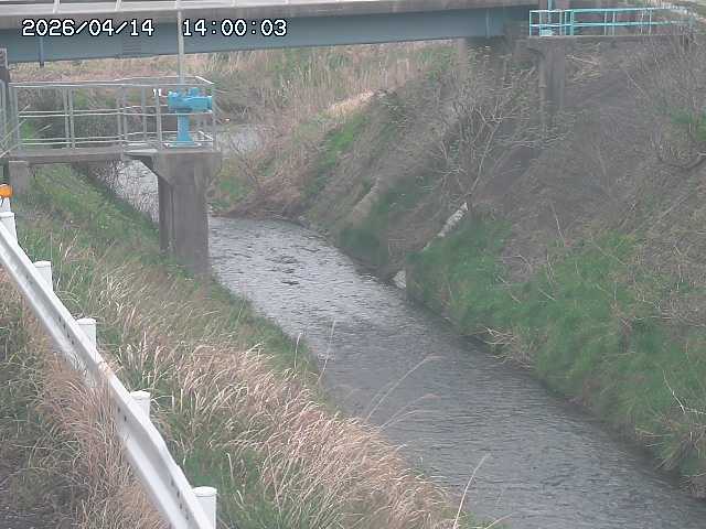 鴨川１2026/04/14 17:00:00