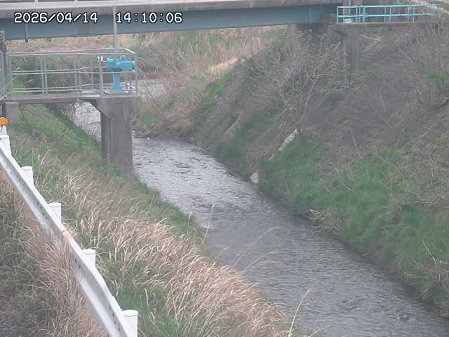 鴨川１2026/04/14 17:00:00