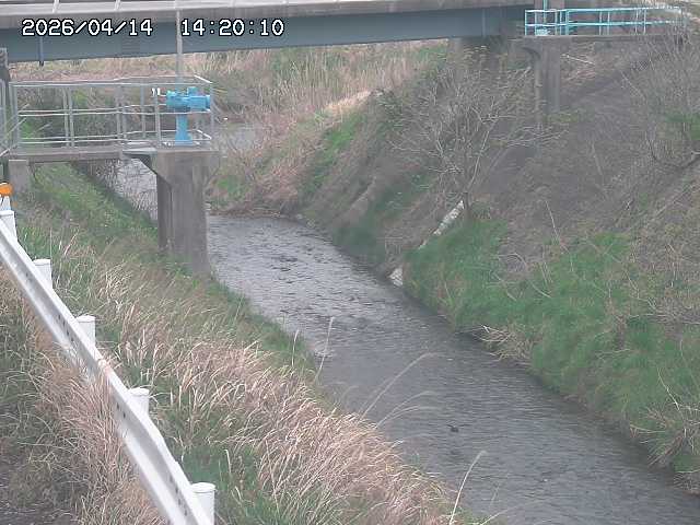 鴨川１2026/04/14 17:00:00