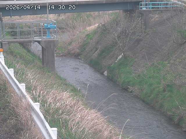 鴨川１2026/04/14 17:00:00