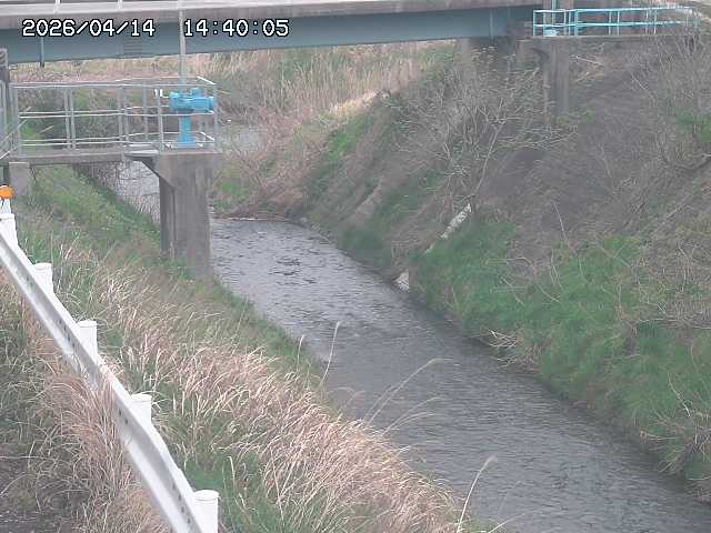 鴨川１2026/04/14 17:00:00