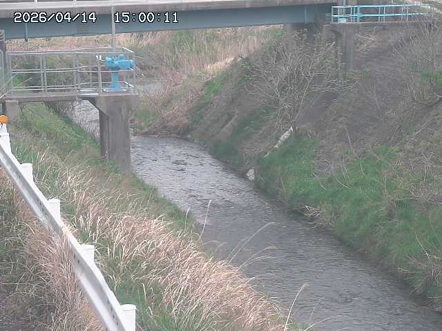 鴨川１2026/04/14 17:00:00