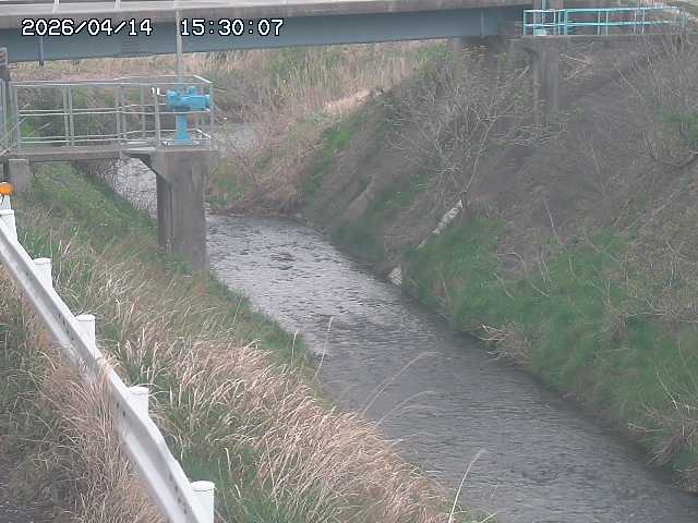 鴨川１2026/04/14 17:00:00