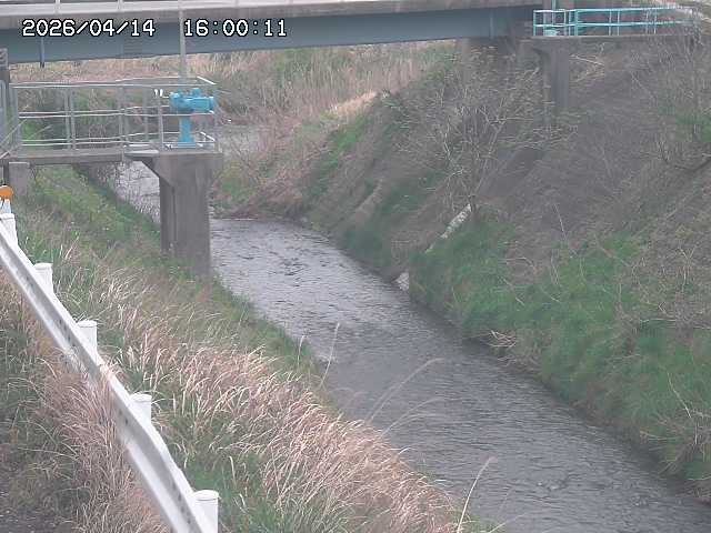 鴨川１2026/04/14 17:00:00