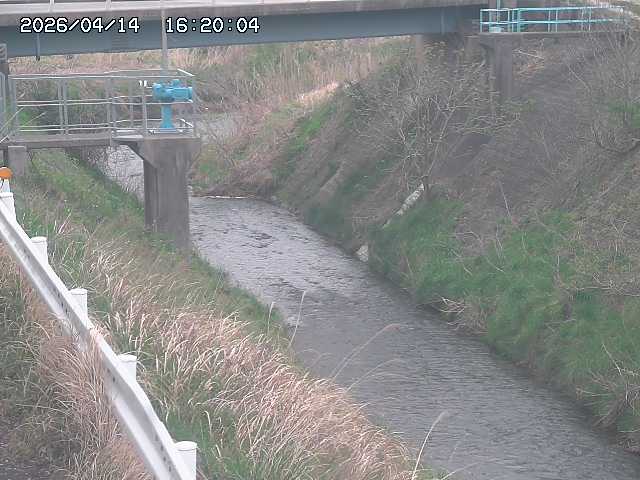 鴨川１2026/04/14 17:00:00