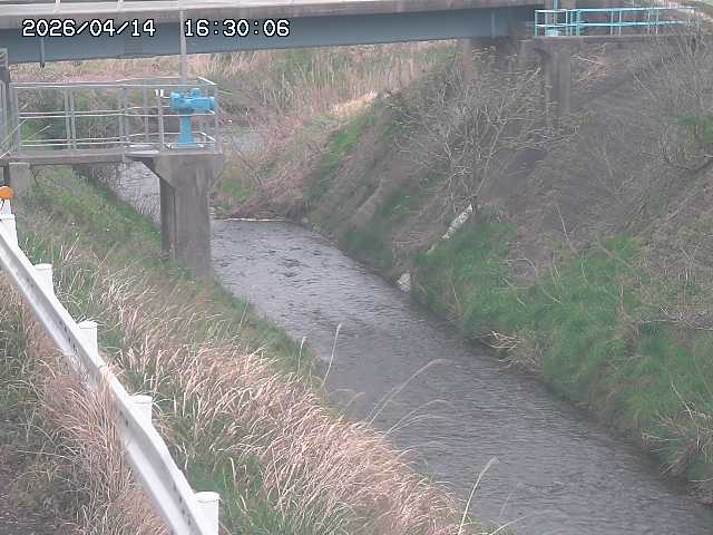 鴨川１2026/04/14 17:00:00