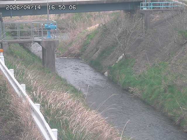 鴨川１2026/04/14 17:00:00