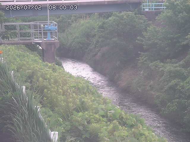 鴨川１2026/07/03 8:30:00