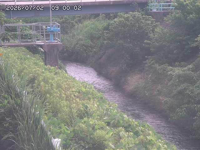 鴨川１2026/07/03 8:30:00