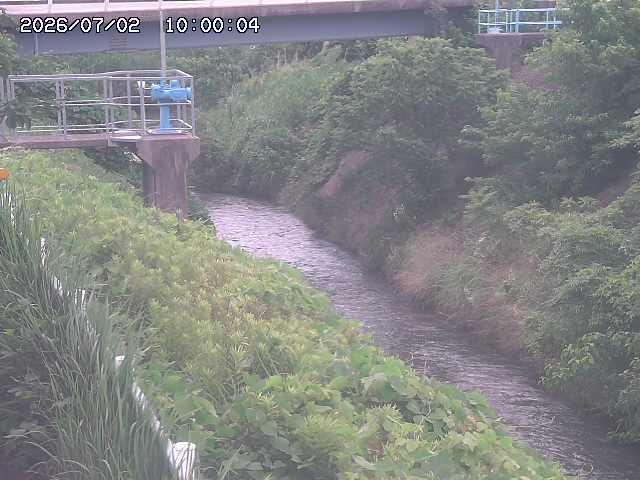 鴨川１2026/07/03 8:30:00