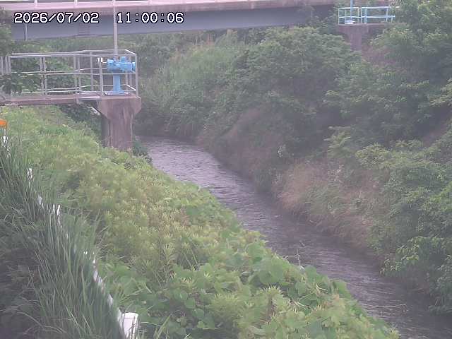 鴨川１2026/07/03 8:30:00