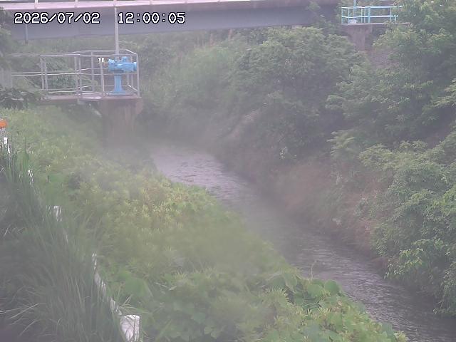 鴨川１2026/07/03 8:30:00