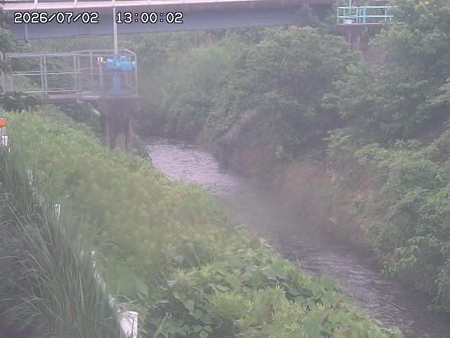 鴨川１2026/07/03 8:30:00