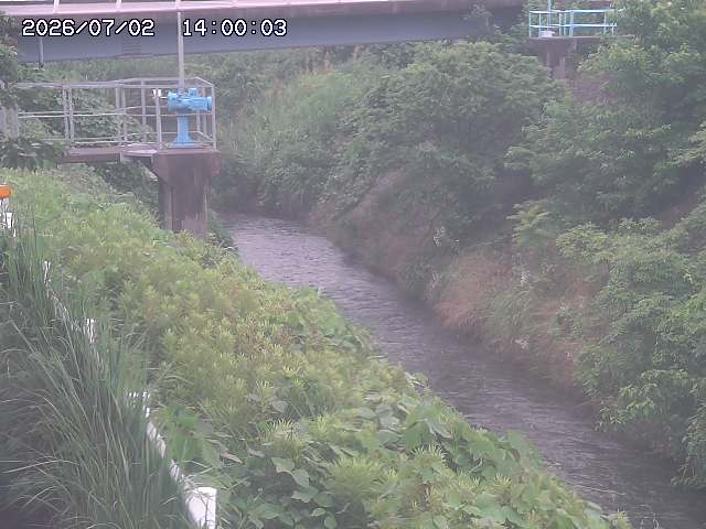 鴨川１2026/07/03 8:30:00