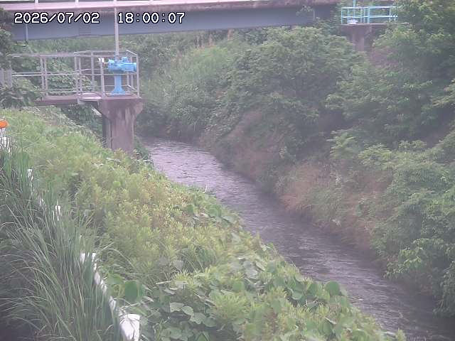 鴨川１2026/07/03 8:30:00