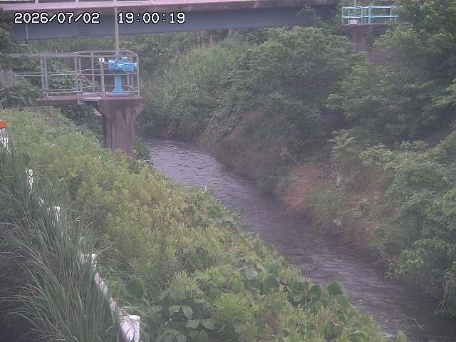 鴨川１2026/07/03 8:30:00