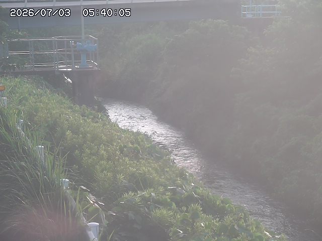 鴨川１2026/07/03 8:30:00