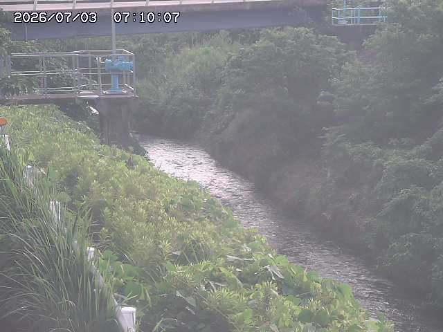 鴨川１2026/07/03 8:30:00