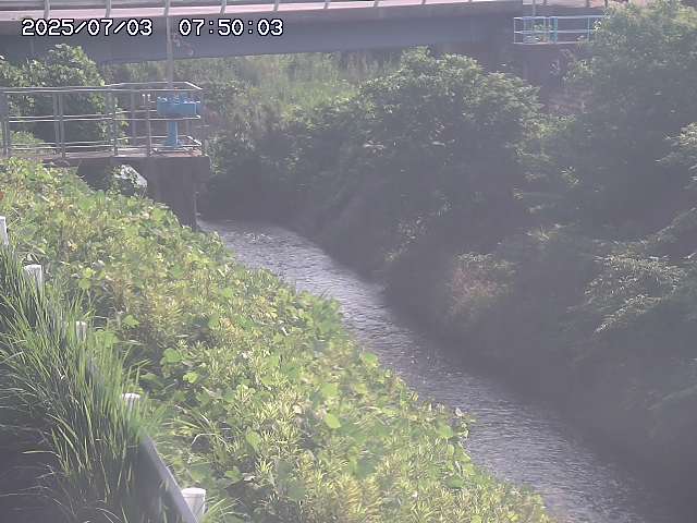 鴨川１2026/07/03 8:30:00