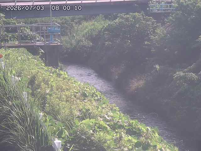 鴨川１2026/07/03 8:30:00