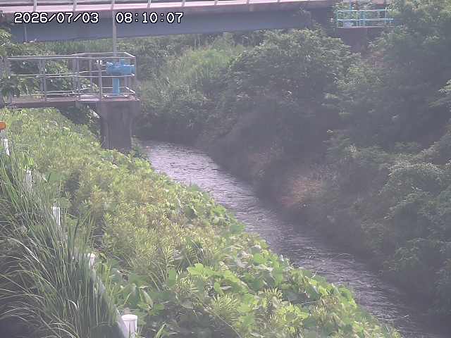 鴨川１2026/07/03 8:30:00