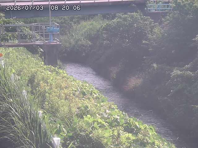 鴨川１2026/07/03 8:30:00