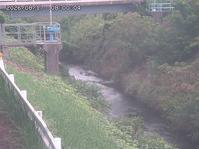 鴨川１2026/08/17 20:40:00