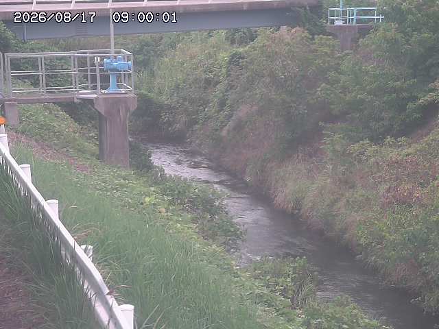 鴨川１2026/08/17 20:40:00