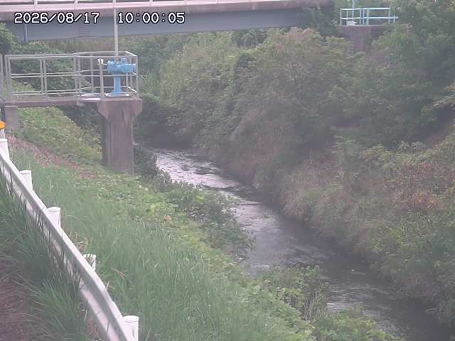 鴨川１2026/08/17 20:40:00