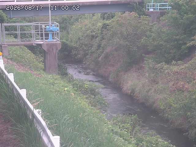 鴨川１2026/08/17 20:40:00