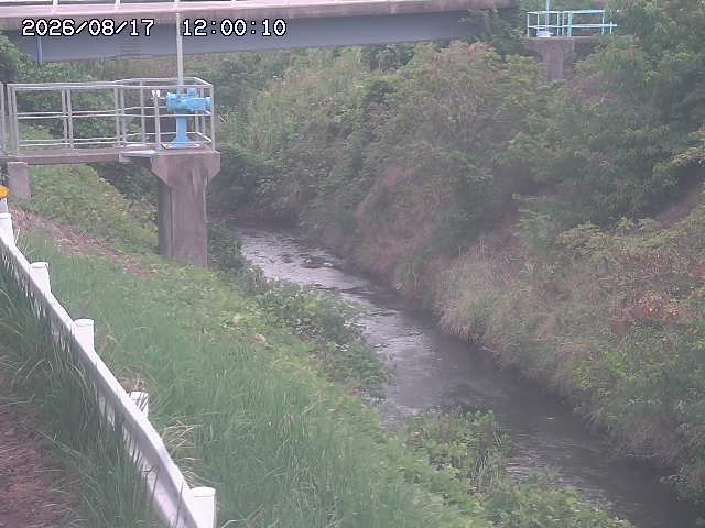 鴨川１2026/08/17 20:40:00