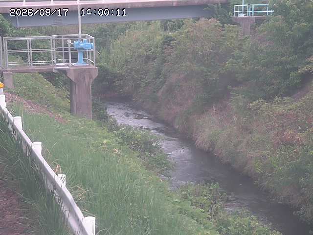 鴨川１2026/08/17 20:40:00